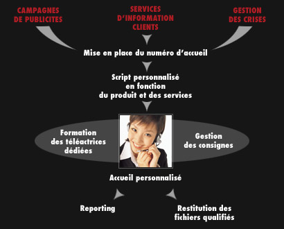 schema
